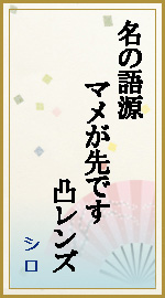 名の語源 マメが先です 凸レンズ