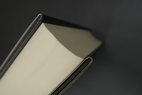 ［ 古書 ］「探偵小説」の考古学　イメージ