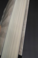 ［ 古書 ］進化38億年の偶然と必然 生命の多様性はどのようにして生まれたか　イメージ