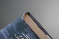 ［ 古書 ］青狐の島 世界の果てをめざしたベーリングと史上最大の科学探検隊　イメージ