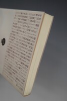 ［ 古書 ］聖アントワヌの誘惑　イメージ