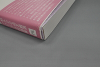 ［ 古書 ］いのまたむつみ画業40周年記念画集 Sanctuary　イメージ
