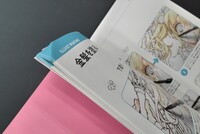 ［ 古書 ］イラストメイキングブック 種村有菜 カラーインク　イメージ