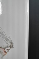 ［ 古書 ］天使のたまご 少女季 ［2017 ver.］（表紙欠）　イメージ