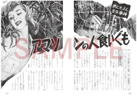 ’60年代ミステリー画報 「世にもふしぎな事件」 イメージ