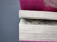 ［ 古書 ］瞳ダイアリー 新装版　イメージ