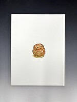 ［ 古書 ］小さなピスケのはじめてのおてつだい（カバー欠）　イメージ