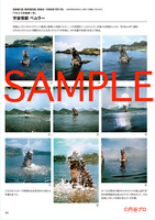 ウルトラマン 怪獣スチール写真アーカイヴス イメージ