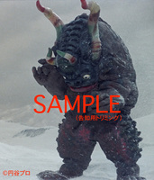 ウルトラセブン＋カプセル怪獣 スチール写真集 イメージ