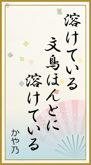 溶けている 文鳥ほんとに 溶けている