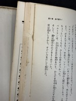 ［ 古書 ］少年少女世界恐怖小説10 狼男の怪　イメージ