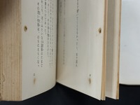 ［ 古書 ］少年少女世界恐怖小説10 狼男の怪　イメージ