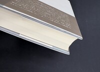 ［ 古書 ］夜はやさし　イメージ
