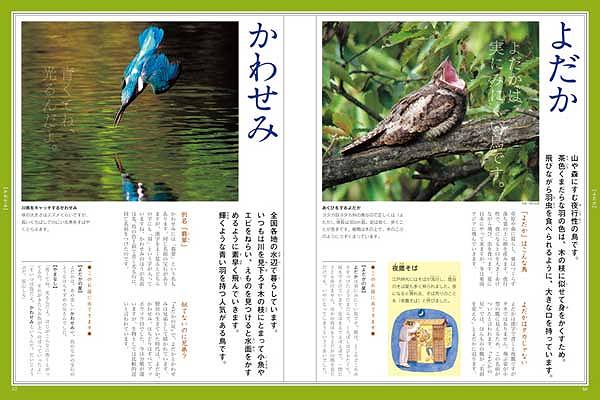 ∞ 鑑賞植物図説 宮沢攵吾、著(宮沢文吾) 養賢堂、刊 昭和41年