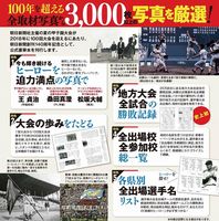 全国高等学校野球選手権大会100回史イメージ