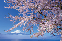【BIGBOOK】富士山