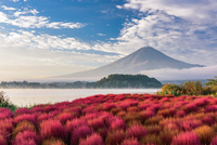 【BIGBOOK】富士山