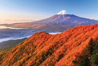 【BIGBOOK】富士山