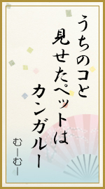 うちのコと 見せたペットは カンガルー