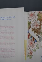 ［ 古書 ］あこがれ 高橋真琴画集　イメージ