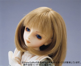 スーパードルフィー・バイブル