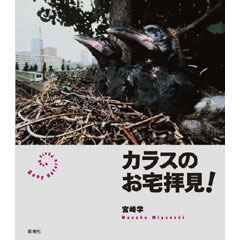 カラスのお宅拝見！