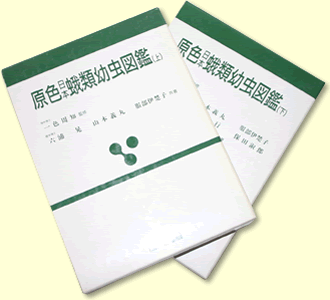 原色日本蛾類幼虫図鑑 全2巻