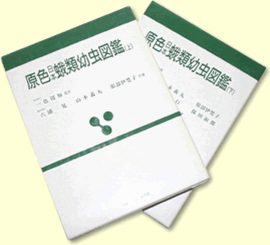 原色日本蛾類幼虫図鑑 全2巻