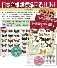日本産蛾類標準図鑑 １