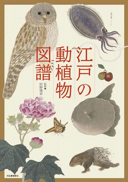 江戸の動植物図譜