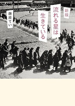 新版 流れる星は生きている