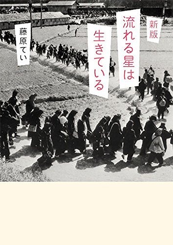 新版 流れる星は生きている