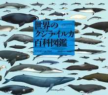 世界のクジラ・イルカ百科図鑑