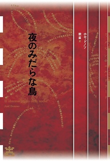 夜のみだらな鳥