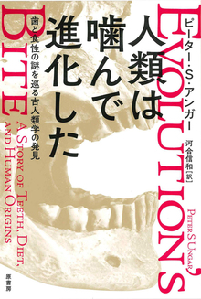 人類は噛んで進化した 歯と食性の謎を巡る古人類学の発見