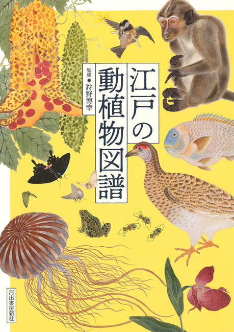 江戸の動植物図譜