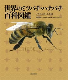 【バーゲンブック】世界のミツバチ・ハナバチ百科図鑑