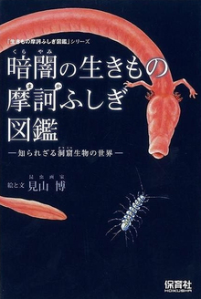 【バーゲンブック】暗闇の生きもの摩訶ふしぎ図鑑