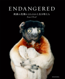 【バーゲンブック】ENDANGERED 絶滅の危機にさらされた生き物たち