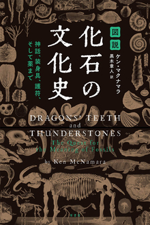 図説 化石の文化史