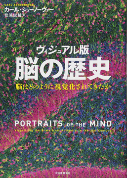 【バーゲンブック】脳の歴史 ヴィジュアル版
