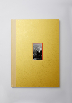 【BIGBOOK】三島由紀夫 OTOKO NO SHI