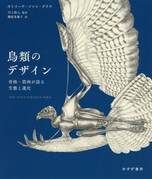 鳥類のデザイン 骨格・筋肉が語る生態と進化