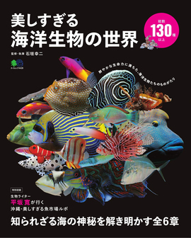 【バーゲンブック】美しすぎる海洋生物の世界
