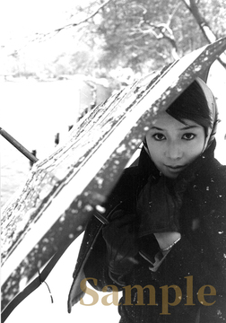 私家版・ひし美ゆり子 クロニクル 2 「続・井の頭公園と私」