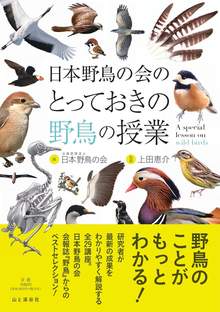 日本野鳥の会のとっておきの野鳥の授業