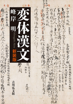 変体漢文 新装版