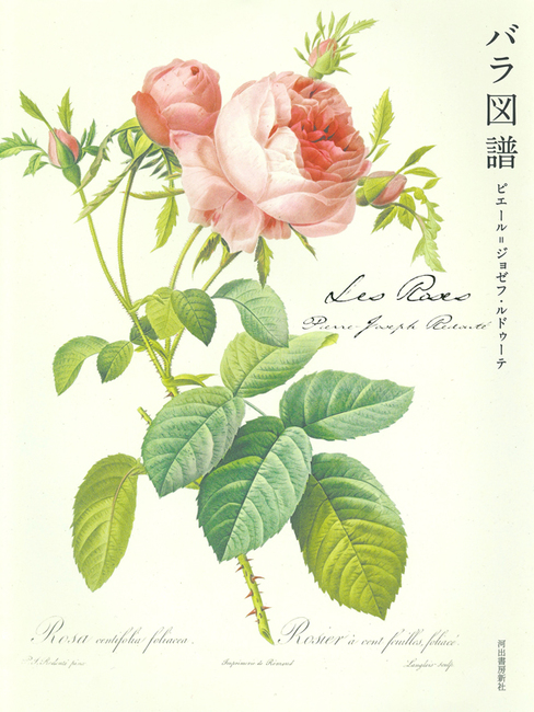 Les Roses バラ図譜 ピエール ジョゼフ ルドゥーテ 販売ページ 復刊ドットコム