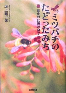 【バーゲンブック】ミツバチのたどったみち 新装版