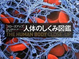 【バーゲンブック】クローズアップ 人体のしくみ図鑑